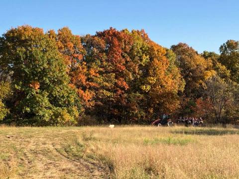 Ride Through Pumpkin Patches While Sipping On Wine During This Perfect Fall Hayride In Missouri