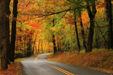 Life Is Gourd In The Town Of Oakland, Home To Maryland's Annual Autumn Glory Festival