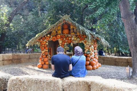 The Pumpkin Extravaganza At Descanso Gardens In Southern California Will Make Your Fall Season Complete