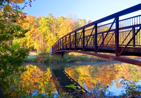 Beaver Lake Trail In Virginia Is A 2-Mile Loop Bursting With Fall Colors