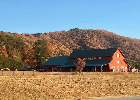 The Apple Cider Slushies From Penland's Apple House In Georgia Belong On Your Fall Bucket List