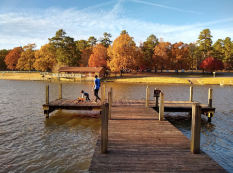 Camping, Swimming, and Mountain Biking Trails Await You At Lincoln Parish Park In Louisiana