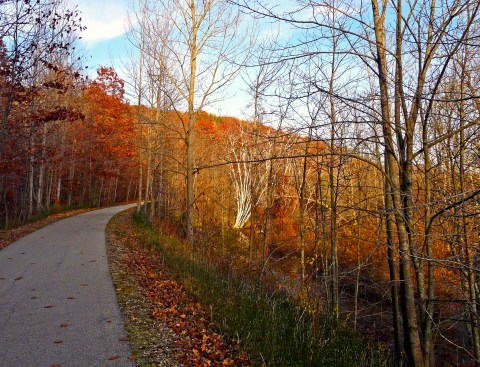 Betsie Valley Trail Is A 22-Mile Path In Michigan That Winds Alongside Lakes, Rivers, And Historic Towns