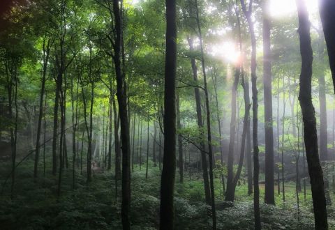 Rim Rock Recreation Trail Is A Low-Key Illinois Hike That Has An Amazing Payoff