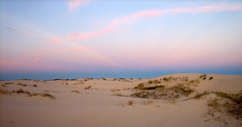 Monahans Sandhills State Park Is A Fascinating Spot In Texas That's Straight Out Of A Fairy Tale