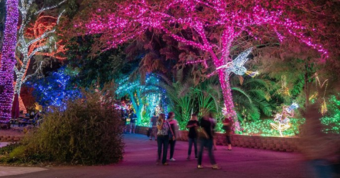 Drive Or Walk Through Millions Of Holiday Lights At ZooLights In Arizona