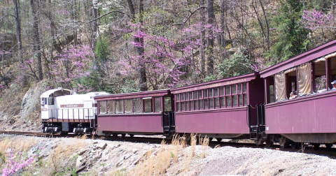 This 3-Hour Train Ride Is The Most Relaxing Way To Enjoy Kentucky Scenery