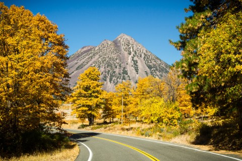 According To The 2020 Fall Foliage Prediction Map, Here’s When You Can Expect The Colors To Peak In Your Part Of Northern California