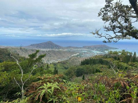 Take In Stellar Views Of Hawaii When You Embark On The Kuliouou Ridge Trail