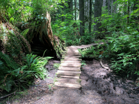 Lord Hill Park In Washington Is The Perfect Place To Get Lost In Nature