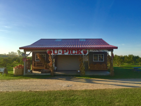 Start Planning For A Trip To Erie Orchards In Michigan This Fall For Apple Cider Donuts Galore