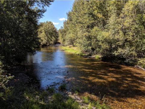 Walk In The Footsteps Of Lewis & Clark At Travelers' Rest State Park In Montana