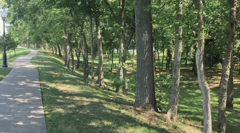 Horsebarn Park In Arkansas Is So Well-Hidden, It Feels Like One Of The State's Best Kept Secrets