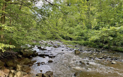 Rittenhouse Park In Delaware Is So Well-Hidden, It Feels Like One Of The State's Best Kept Secrets