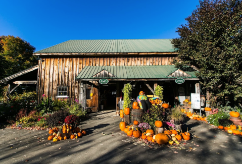 This Enormous Roadside Farmers Market In New Hampshire Is Too Good To Pass Up