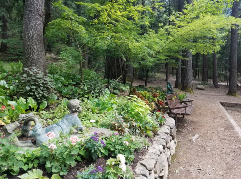 Wander Through The Magical, Otherworldly Dunsmuir Botanical Gardens In Northern California