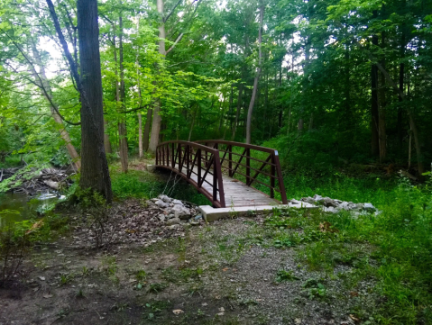 Stroll Among Riverfront Serenity At Nicholson Nature Center In Michigan