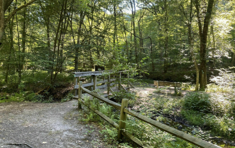 A Little-Known State Park In Connecticut, Bolton Notch Has 95-Acres Of Astonishing Beauty