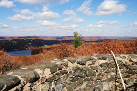 Gaze At Breathtaking Fall Foliage At Mount Tom State Park In Connecticut