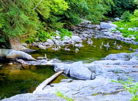 This Easily Accessible Waterfall In New Hampshire Is Only Steps From The Parking Lot