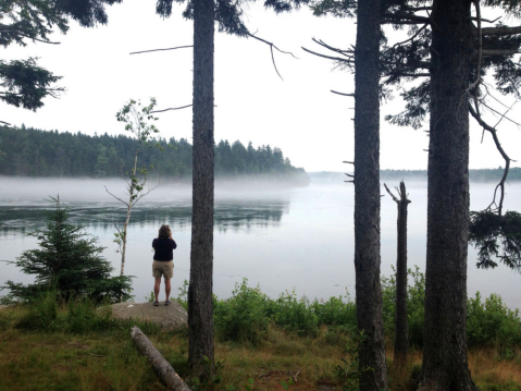 The Easily Accessible Reversing Falls Park In Maine Is Only Steps From The Parking Lot