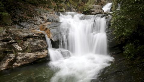 Dukes Creek Trail Might Be One Of The Most Beautiful Short-And-Sweet Hikes To Take In Georgia