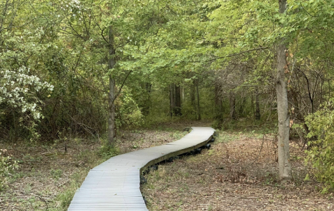 An Underrated Natural Area In Connecticut, Michael Donnelly Preserve Is Home To Vibrant Forest Views