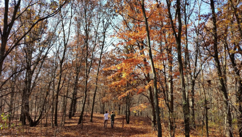 Seidman Park In Michigan Is The Perfect Place For A Peaceful Fall Walk