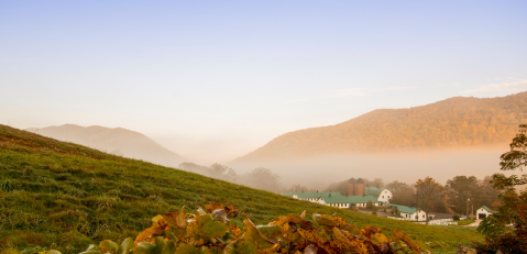 Hot Springs Is A Small Virginia Town That Looks Like A Hallmark Movie During The Fall