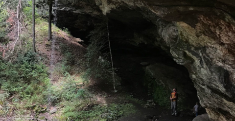 A Short But Beautiful Hike, Picklesimer Rock House Falls Trail Leads To A Little-Known Waterfall In North Carolina