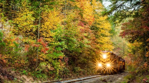 The One North Carolina Town Everyone Must Visit This Fall