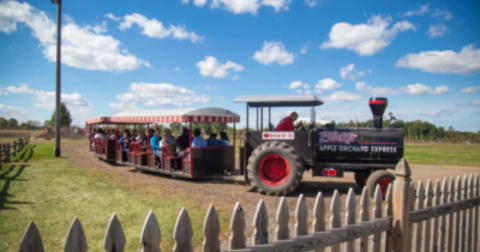 These 7 Charming Apple Orchards Near Detroit Are Picture Perfect For A Fall Day