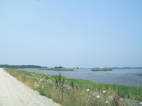 Bombay Hook Is A Scenic Outdoor Spot In Delaware That's A Nature Lover’s Dream Come True