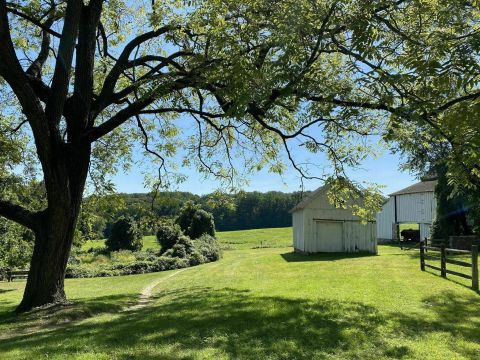 White Clay Creek State Park Offers 3,600 Acres Of Beautiful Scenery That Delawareans Have Fallen In Love With