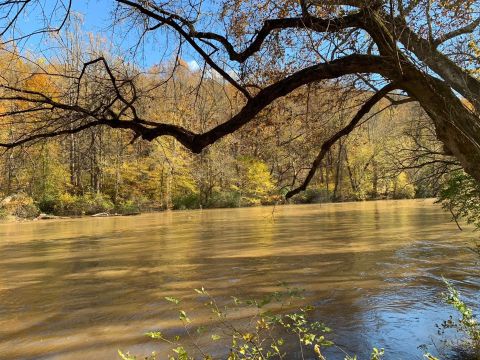 Take An Easy Hike Through The Breezy Brandywine Creek State Park In Delaware For A Gorgeous Autumn Scene