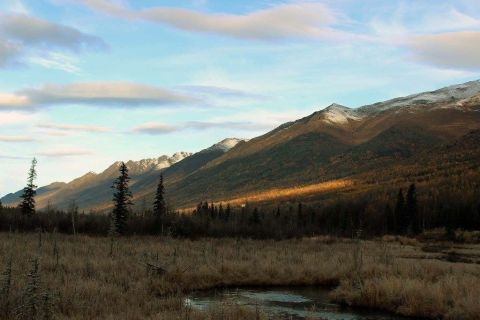 Welcome The Arrival Of Autumn On The Albert Loop Trail In Alaska