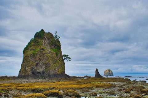 The Ozette Triangle Trail Shows Off The Washington Coast At Its Finest