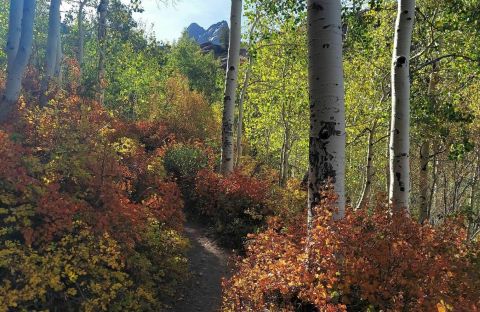 Bask In The Beauty Of Autumn On The Lake Blanche Trail In Utah This Season