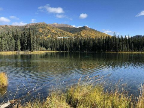 The Easy, Scenic Horseshoe Lake Trail In Alaska Is A Trail The Whole Family Will Enjoy