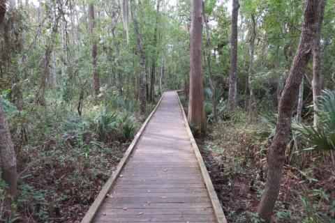 Fairview Riverside State Park In Louisiana Is So Well-Hidden, It Feels Like One Of The State's Best Kept Secrets