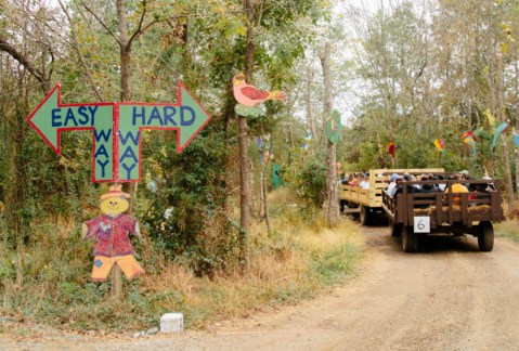 Take A Self-Driven Hay Ride Through Cox Farms In Virginia For An Unforgettable Fall Outing