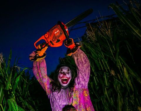 This Haunted Corn Maze Is Returning To Arizona This Autumn And It's Absolutely Terrifying