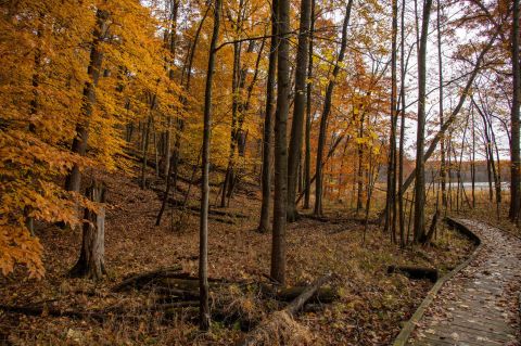 Haven Hill Lake Is A Hikeable Lake Near Detroit That's Simply Breathtaking In The Fall