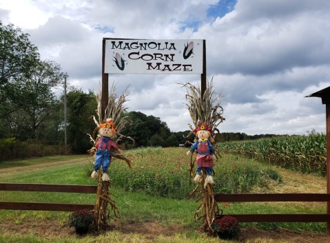 With Corn Mazes, Paintball, A Raceway, And More, Magnolia Farms Is The Perfect Fall Destination In Alabama