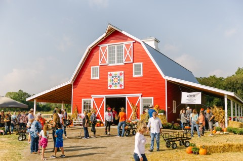 Don't Miss The Harvest Market At Red Bird Farm, An Outdoor Fall Shopping Event In Oklahoma