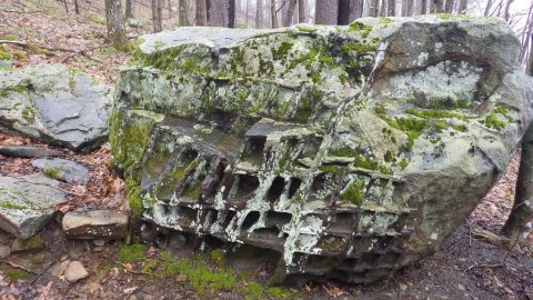 Honeycomb Rocks Is A World-Class Rock Formation Hiding On An Easy West Virginia Loop Trail