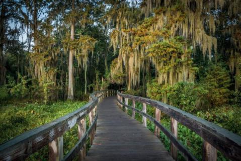 Phinizy Swamp Nature Park In Georgia Is So Hidden Most Locals Don't Even Know About It