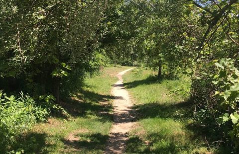 Take A Breezy 2-Mile Hike At Haddam Meadows State Park, A Lovely Hidden Gem In Connecticut