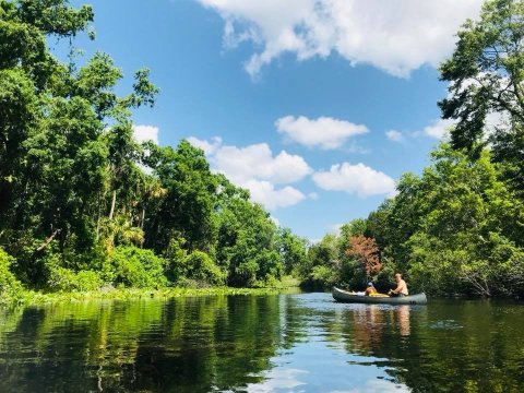 This Easily Accessible Natural Spring In Florida Is Only Steps From The Parking Lot