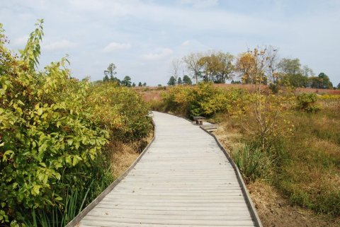 The State Arboretum Of Virginia Is A Lovely Hidden Gem With No Admission Fee